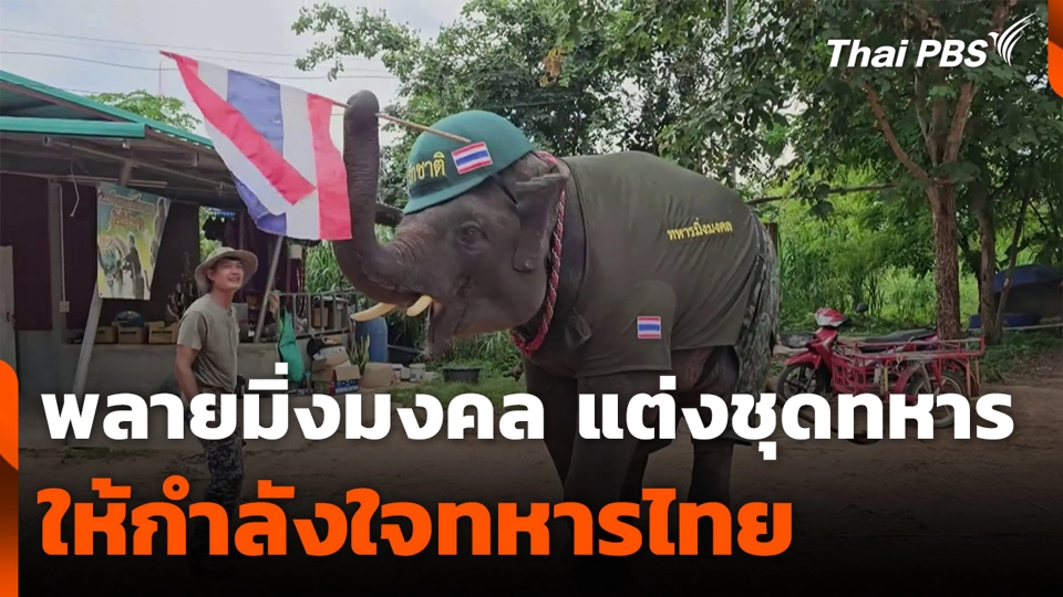 พลายมิ่งมงคล แต่งชุดทหาร ให้กำลังใจทหารไทย