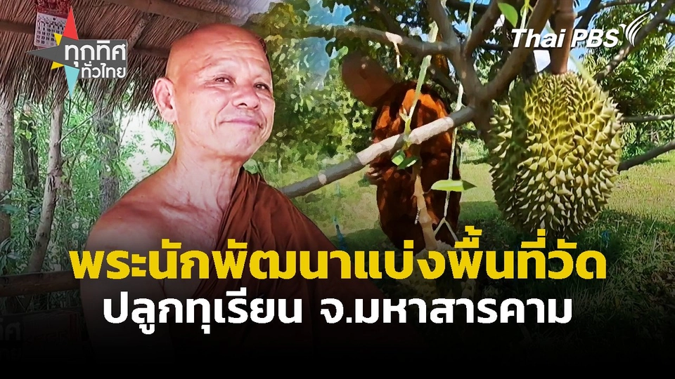 พระนักพัฒนาแบ่งพื้นที่วัดปลูกทุเรียน จ.มหาสารคาม