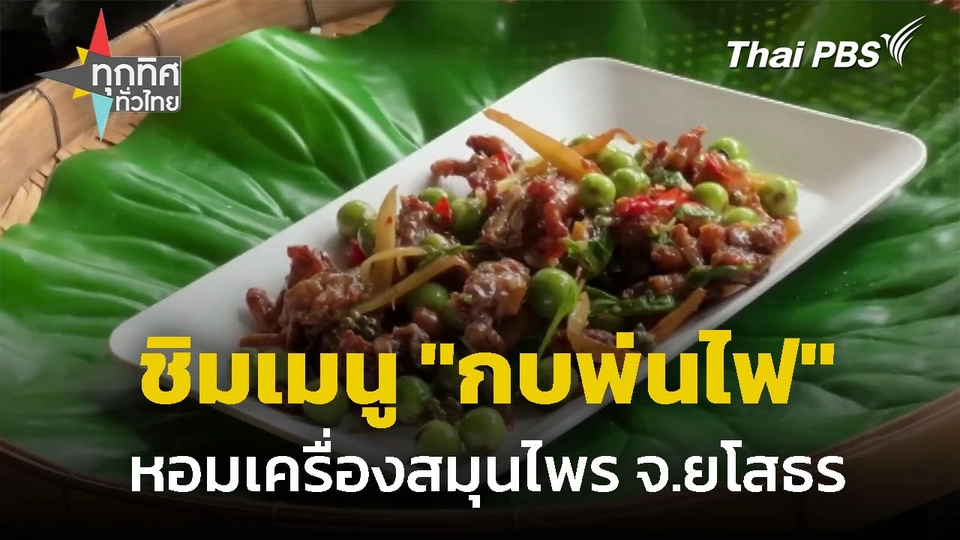 เมนู "กบพ่นไฟ" หอมเครื่องสมุนไพร จ.ยโสธร