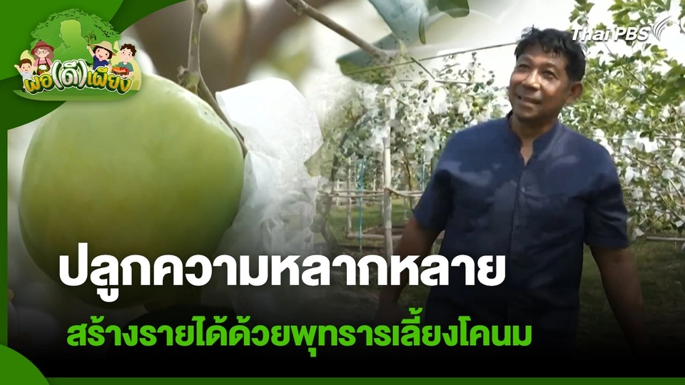 พอดีพอเพียง : ปลูกความหลากหลาย สร้างรายได้ด้วยพุทรา