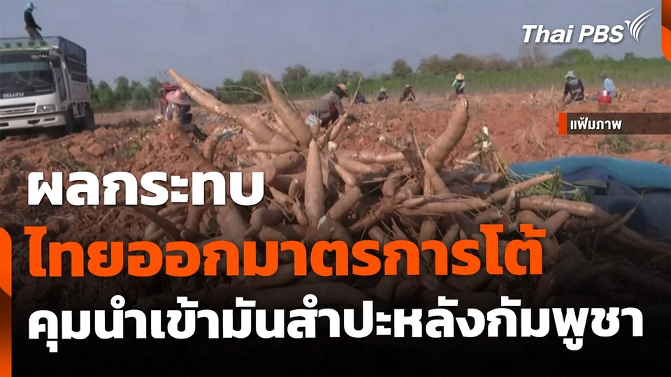 ไทยโต้กลับกัมพูชา ! ควบคุมการนำเข้ามันสำปะหลัง รักษาเสถียรภาพประเทศ