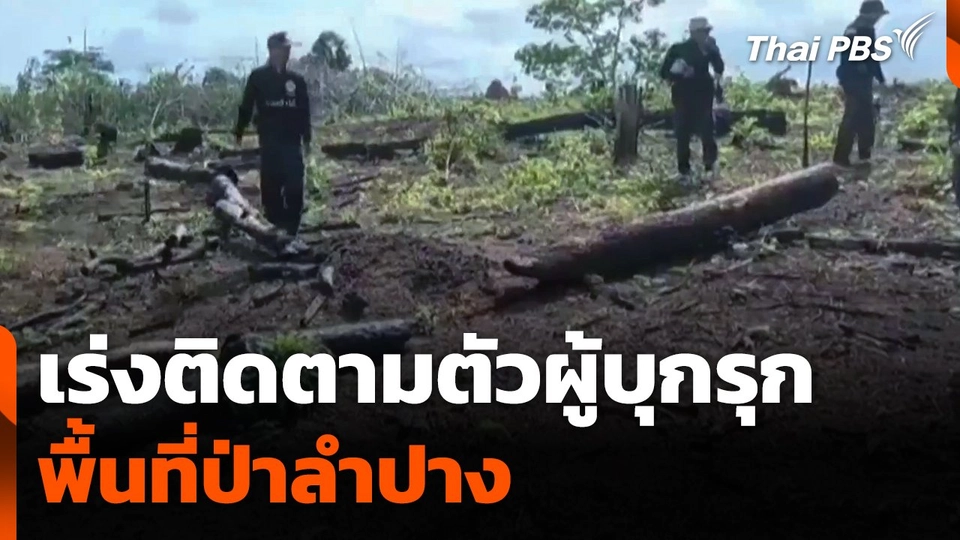 เร่งติดตามตัวผู้บุกรุกพื้นที่ป่าลำปาง