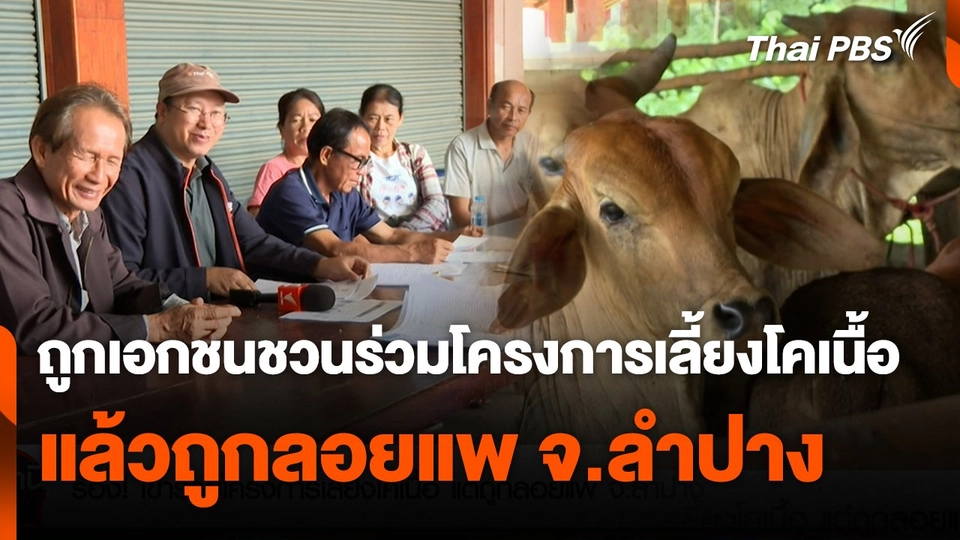 สถานีร้องเรียน : ถูกเอกชนชวนร่วมโครงการเลี้ยงโคเนื้อแล้วถูกลอยแพ จ.ลำปาง