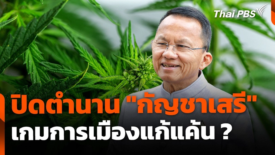 ปิดตำนาน "กัญชาเสรี"  เกมการเมืองแก้แค้น ?