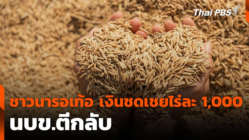 ชาวนารอเก้อ เงินชดเชยไร่ละ 1,000 นบข.ตีกลับ