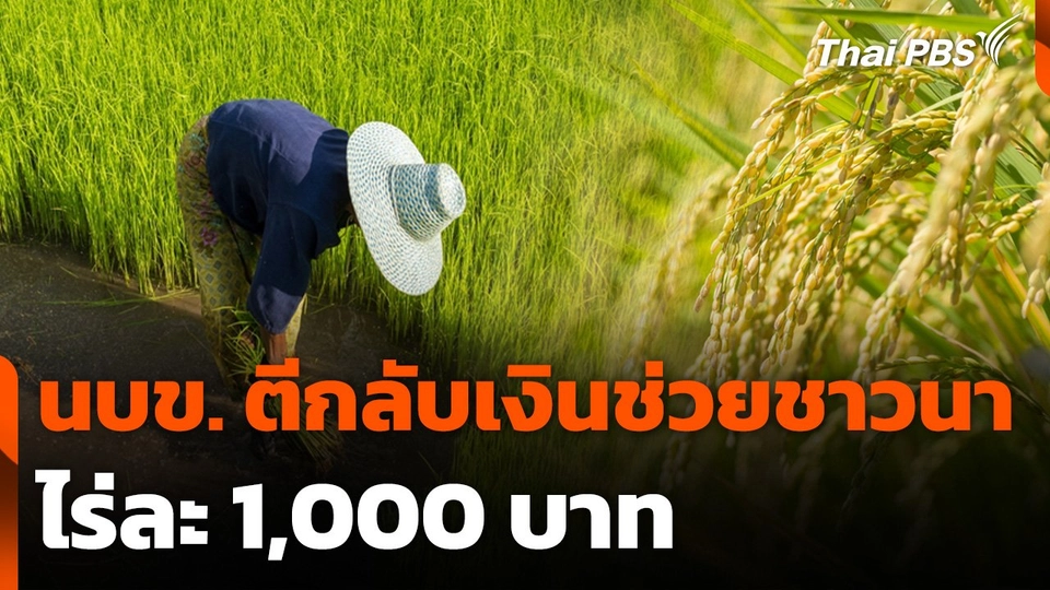นบข. ตีกลับเงินช่วยเหลือชาวนา ไร่ละ 1,000 บาท