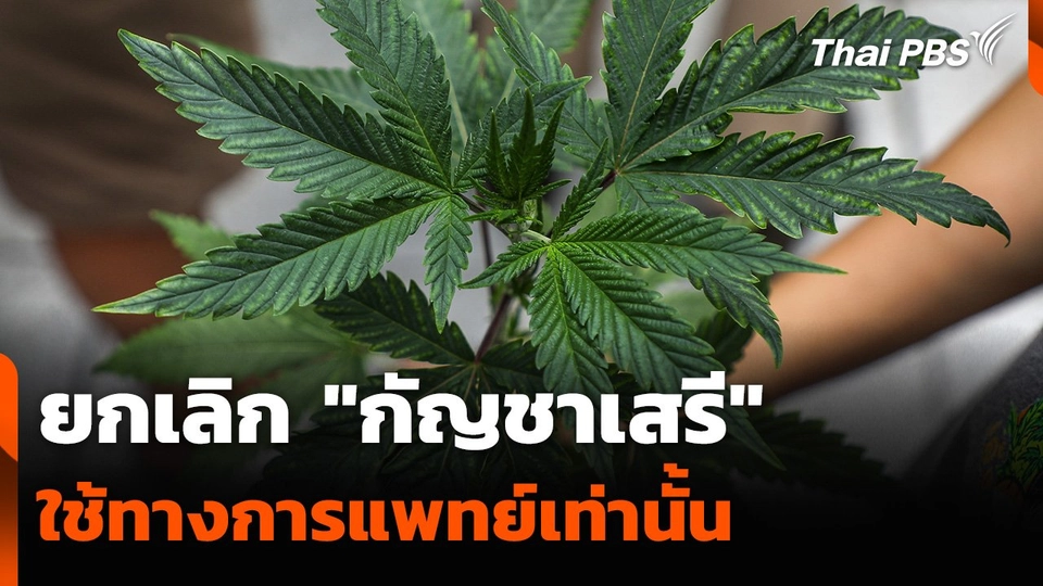 ยกเลิก "กัญชาเสรี" ใช้ทางการแพทย์เท่านั้น