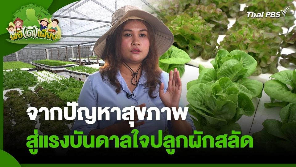 พอดีพอเพียง : จากปัญหาสุขภาพ สู่แรงบันดาลใจปลูกผักสลัด