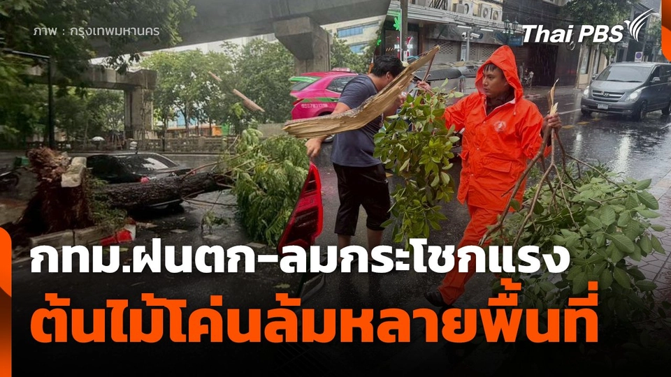 กทม.ฝนตก-ลมกระโชกแรง ต้นไม้โค่นล้มหลายพื้นที่