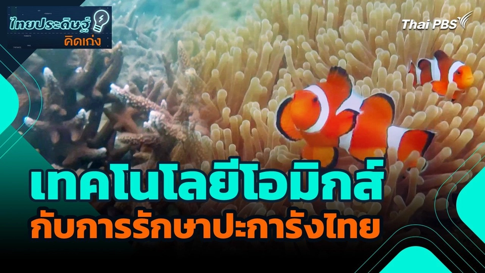ไทยประดิษฐ์คิดเก่ง : เทคโนโลยีโอมิกส์กับการรักษาปะการังไทย