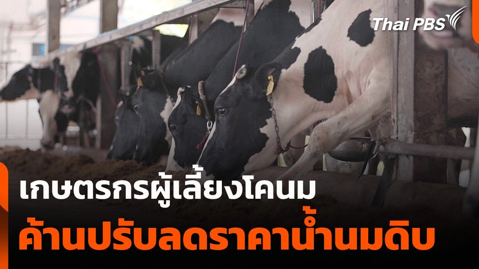 เกษตรกรผู้เลี้ยงโคนมค้านปรับลดราคาน้ำนมดิบ