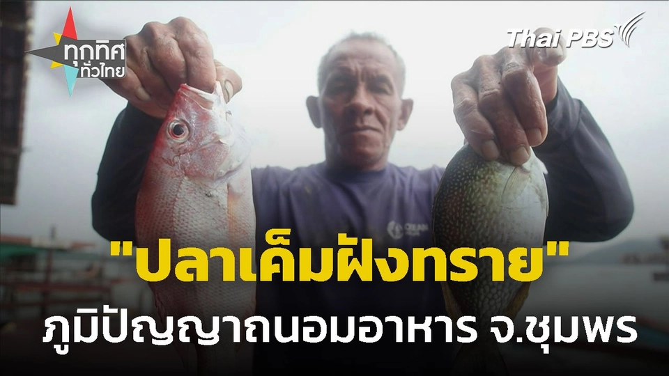 "ปลาเค็มฝังทราย" ภูมิปัญญาถนอมอาหาร จ.ชุมพร
