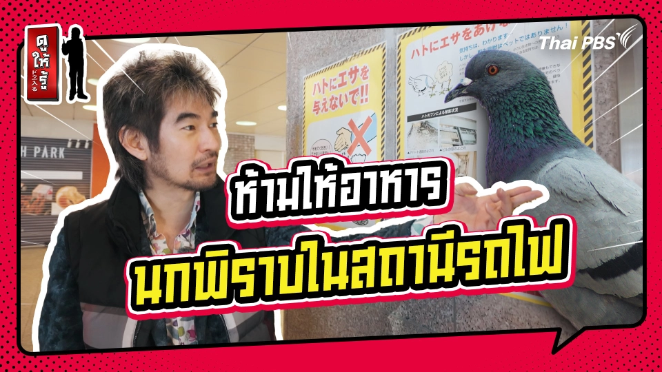 รู้ให้ลึกเรื่องญี่ปุ่น :  ห้ามให้อาหารนกพิราบในสถานีรถไฟ
