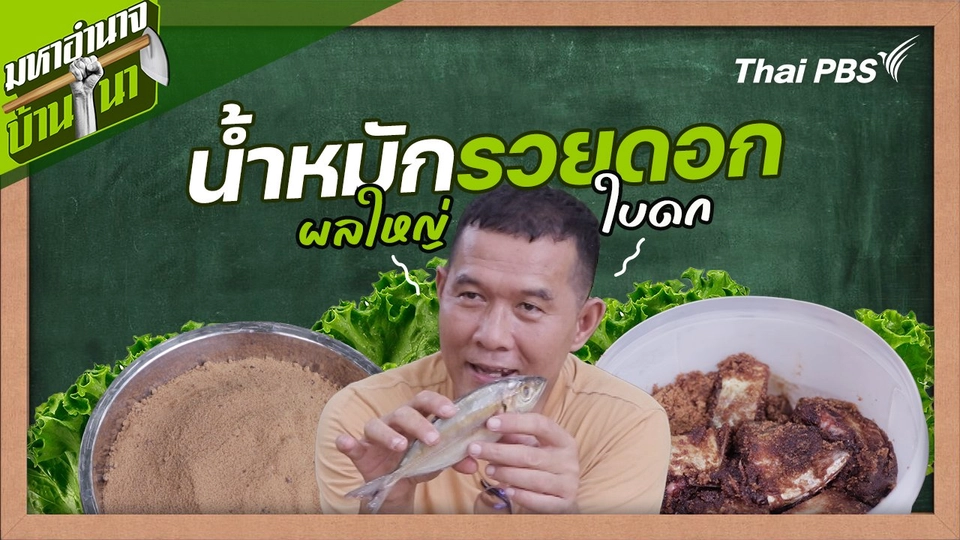 สูตรลับฉบับบ้านนา : น้ำหมักรวยดอก ผลใหญ่ ใบดก