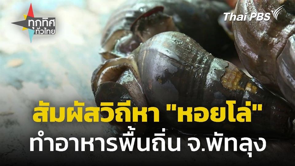 สัมผัสวิถีหา "หอยโล่" ทำอาหารพื้นถิ่น