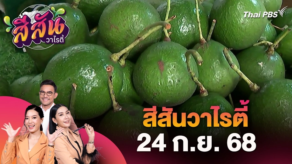 สีสันวาไรตี้ (24 ก.ย. 68)