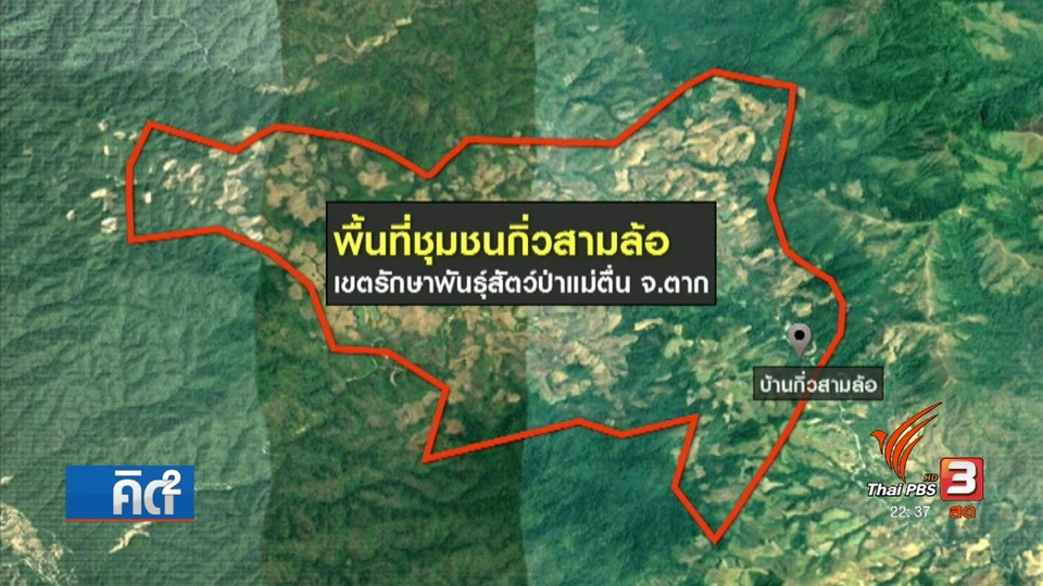 ความคืบหน้าทวงคืนผืนป่า