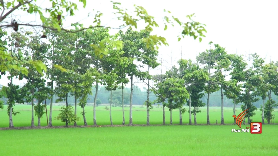 อ.ณรงค์ มนุษย์ยางนา