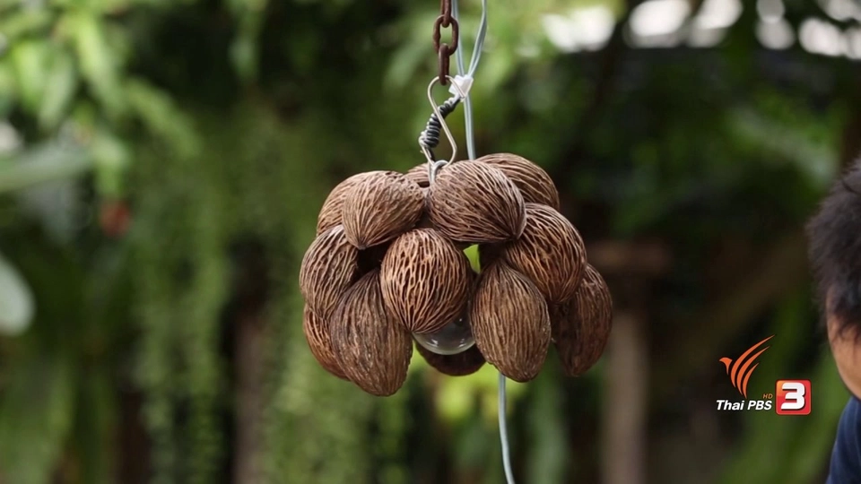 โคมไฟลูกตีนเป็ด