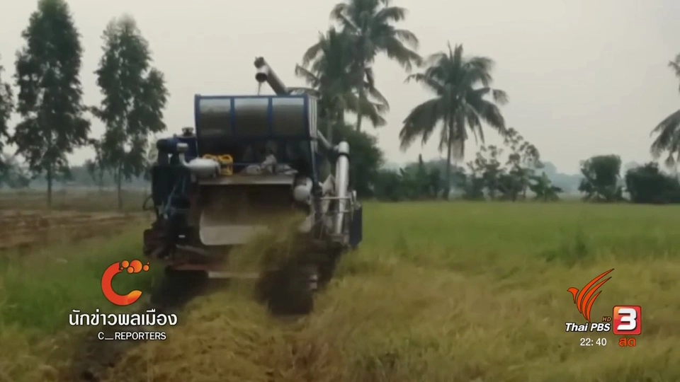นักข่าวพลเมือง : ป้าแสงเดือน - ลุงบุญทัน ชีวิตชาวนาบนทางแยกปัญหาหนี้สิน