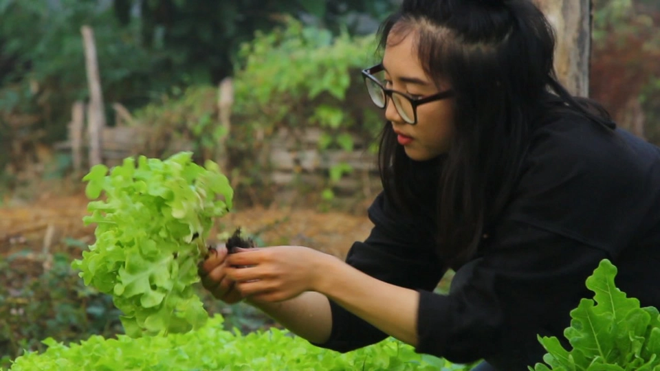 คนรุ่นใหม่ หัวใจเกษตร