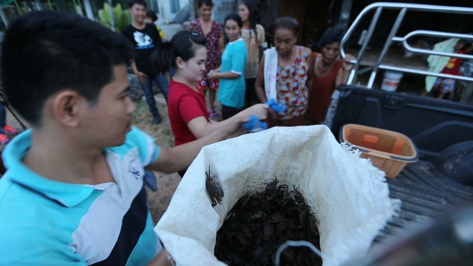 ปูนาหน้าแล้ง แห่งวังคก