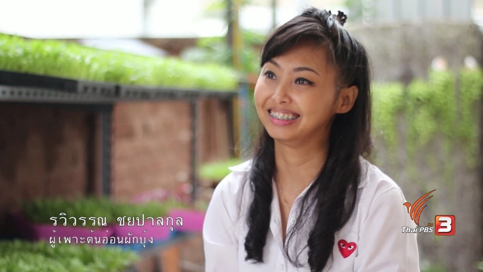 เกษตรข้างบ้าน : สุขเล็กๆ ของคนเมืองกับผักสวนครัวข้างบ้าน