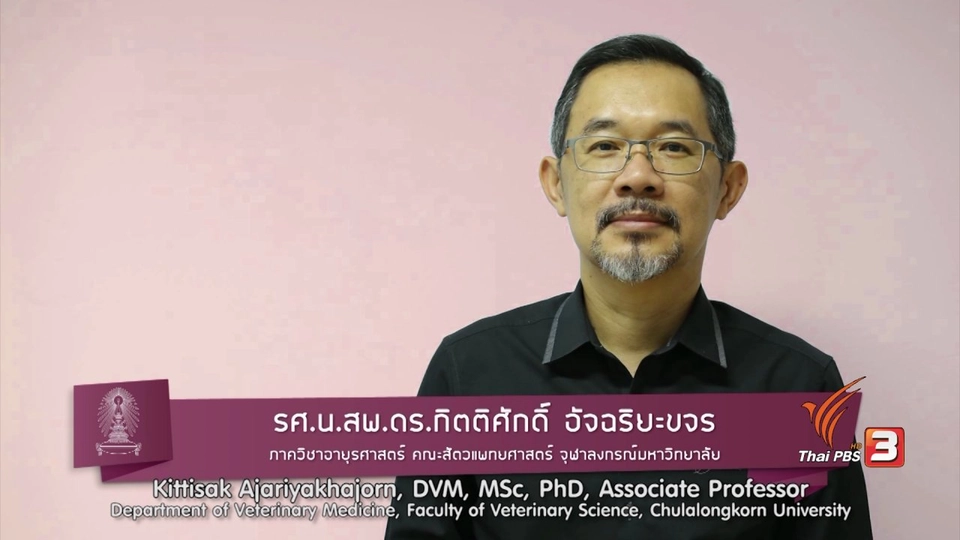 soเชี่ยว FAKE or FACT : เปิดเพลงให้วัวฟัง ทำให้วัวผ่อนคลายและเพิ่มน้ำนมได้ ?