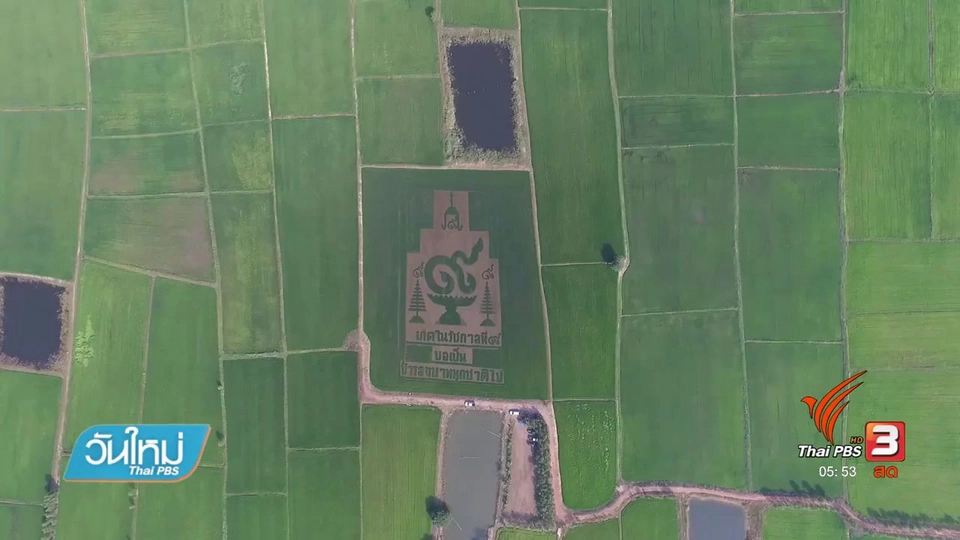 ตกแต่งแปลงนาถวายในหลวงรัชกาลที่ 9