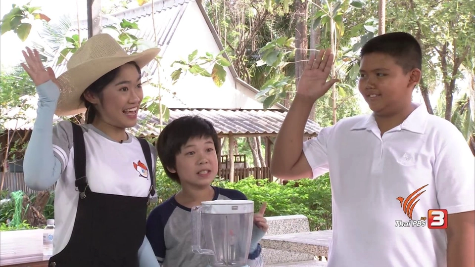 ไร่ข้าวโพด