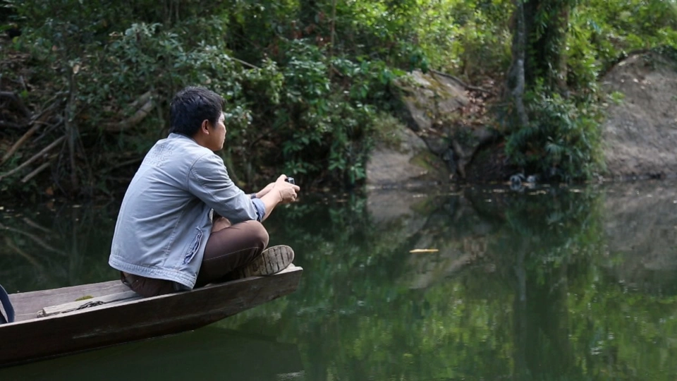 ลำโดมใหญ่ ต้นใสปลายเปลี่ยน​