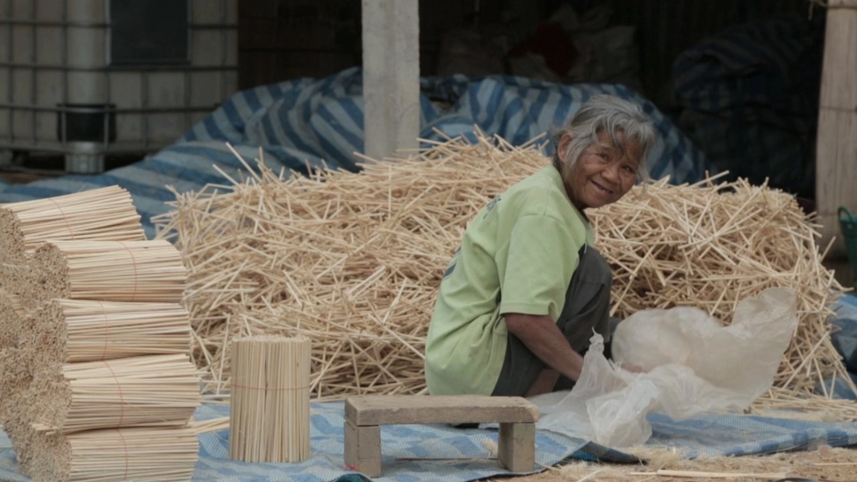 ไผ่ครอบจักรวาล​