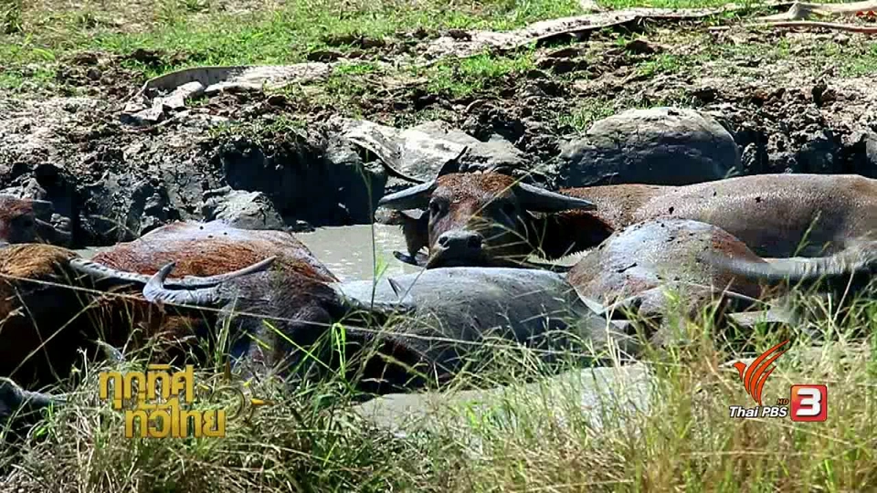 ประเด็นข่าว ( 16 ก.พ. 60)