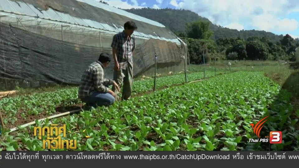 ประเด็นข่าว ( 20 ก.พ. 60)