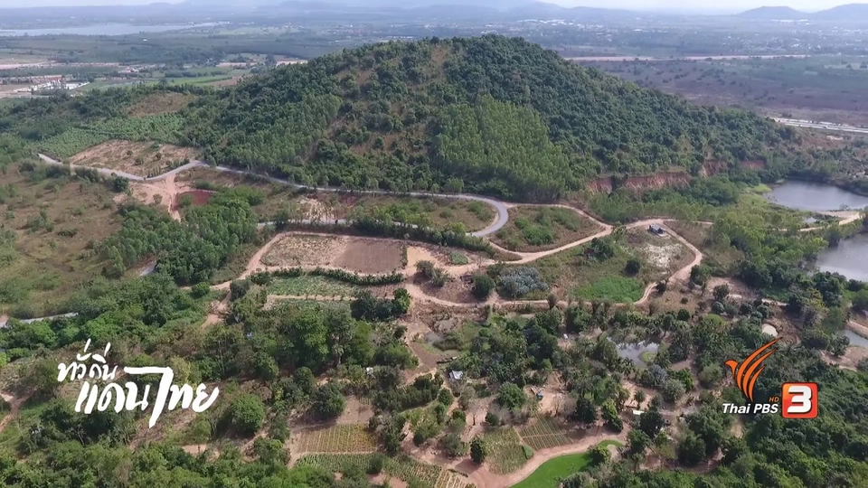 ป่าแห่งชีวิต ป่าแห่งความรัก โครงการป่าสิริเจริญวรรษ อันเนื่องมาจากพระราชดำริ จ.ชลบุรี