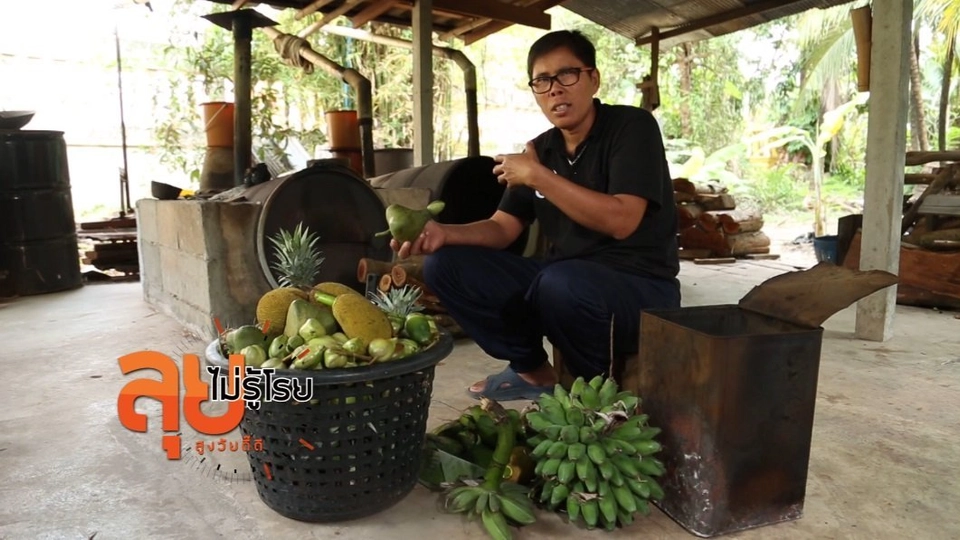 ถ่านผลไม้