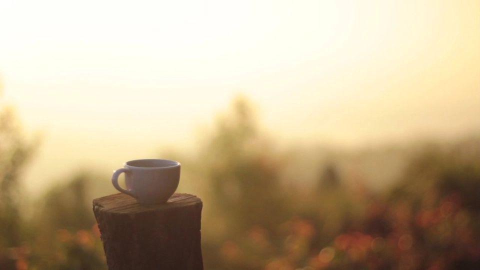 หอมกลิ่นแม่จันใต้