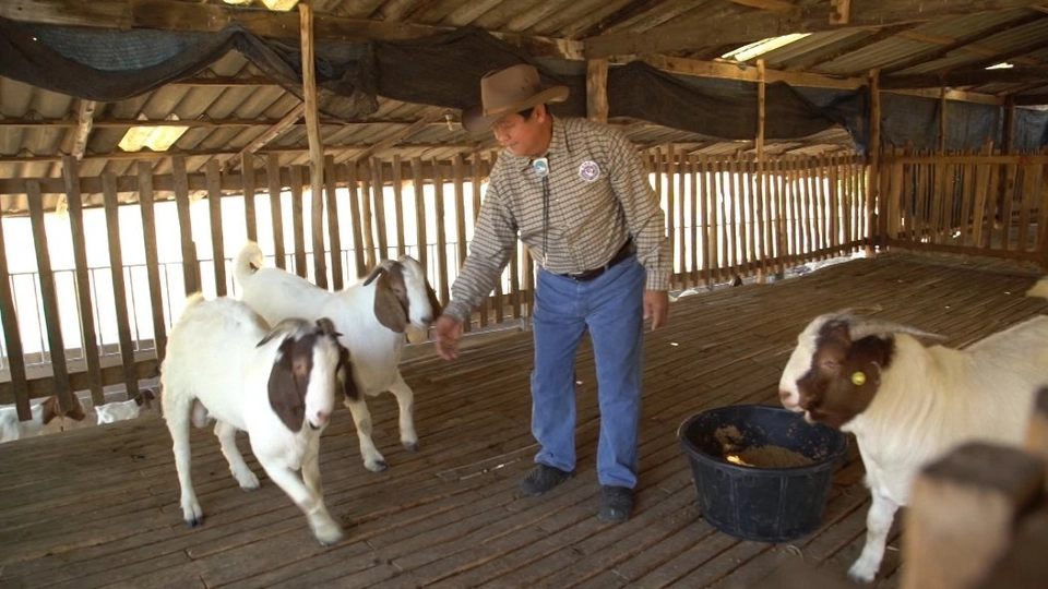 เชาวรัตน์ อ่ำโพธิ์ (ลุงเป้ง)