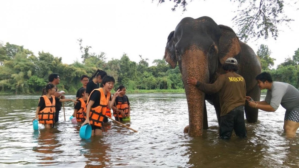 เด็กเลี้ยงช้าง