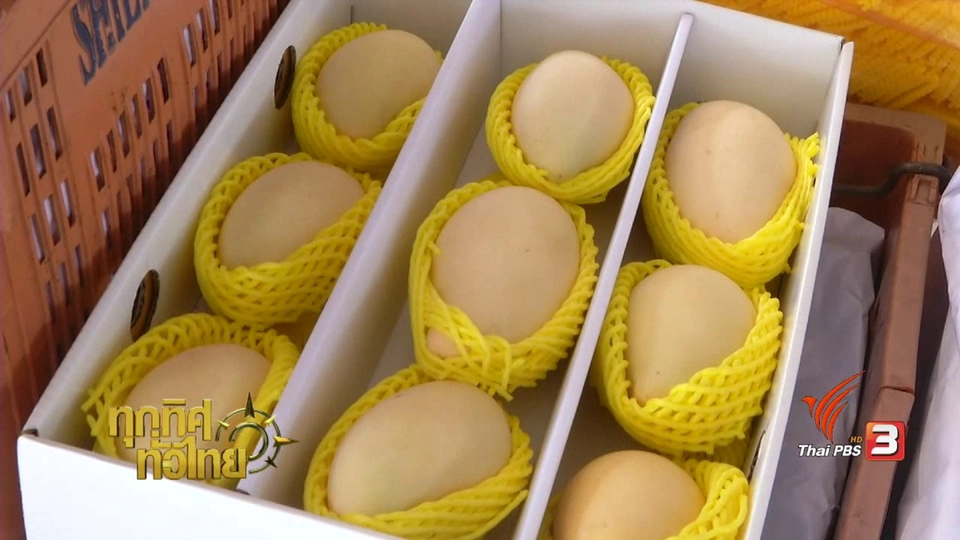 ประเด็นข่าว ( 27 ก.พ. 60)