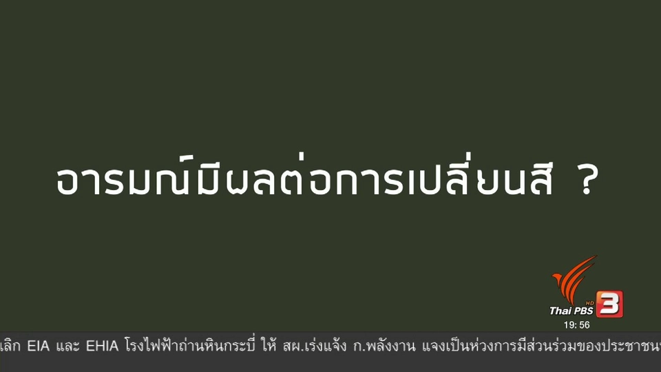 soเชี่ยว FAKE or FACT : คามิเลี่ยนเปลี่ยนสีตามอารมณ์จริงหรือไม่