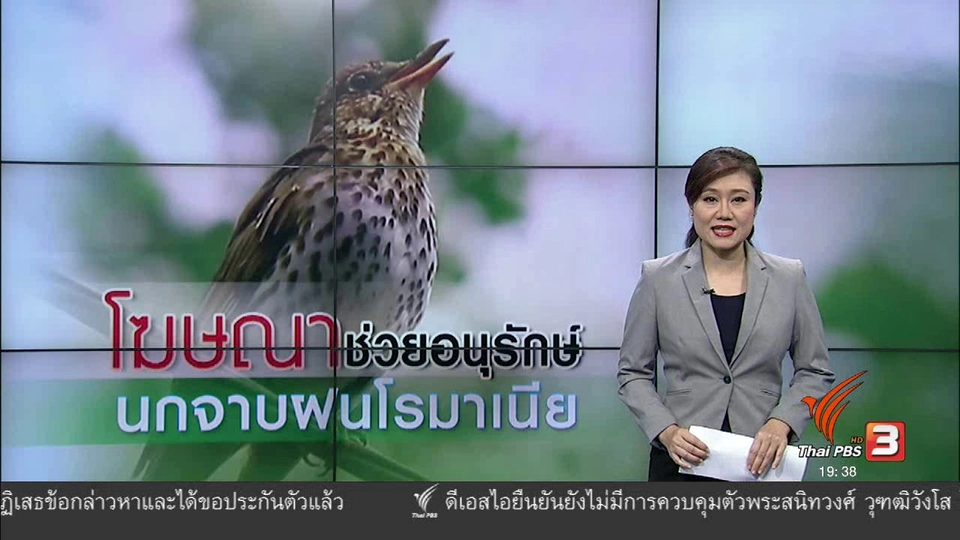 วิเคราะห์สถานการณ์ต่างประเทศ : โฆษณาช่วยอนุรักษ์นกจาบฝนโรมาเนีย