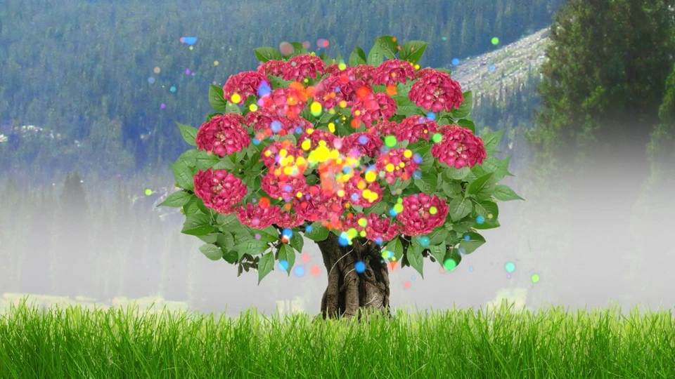 ดอกไม้นักดนตรี