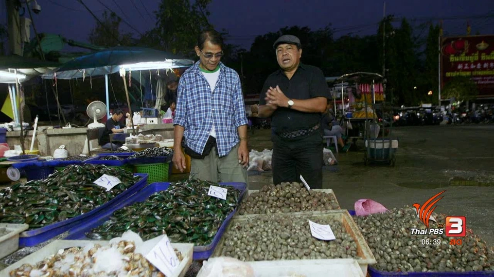 สายสืบเจาะตลาด : สืบราคาหอยแครง จ.สมุทรสงคราม