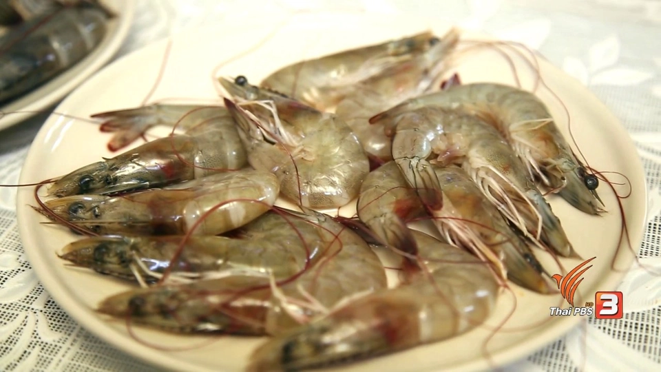 สุดยอดแม่บ้าน: วิธีเลือกซื้อกุ้ง