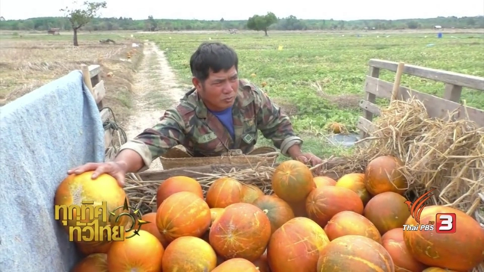 ประเด็นข่าว (2 มี.ค. 60)