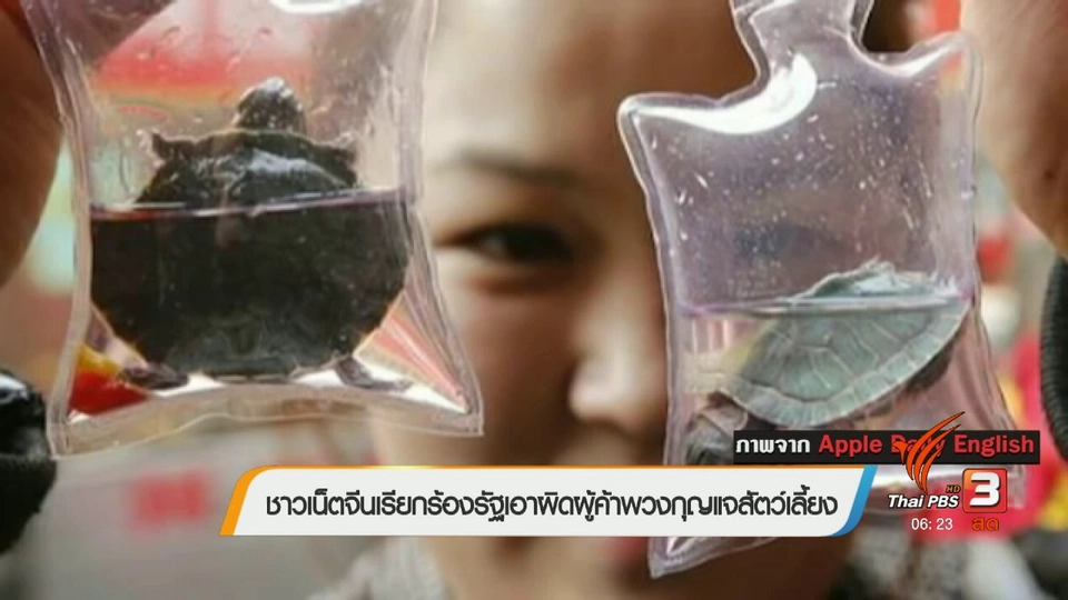 คลิกให้ปัง : ชาวเน็ตจีนเรียกร้องรัฐเอาผิดผู้ค้าพวงกุญแจสัตว์เลี้ยง