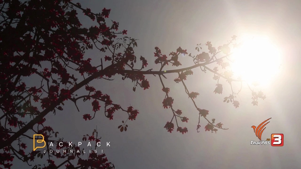 เซินเจิ้นลาว ยุคไทยแลนด์ 4.0