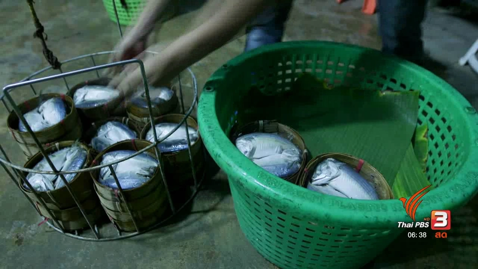 สายสืบเจาะตลาด : สืบราคาปลาทูแม่กลอง