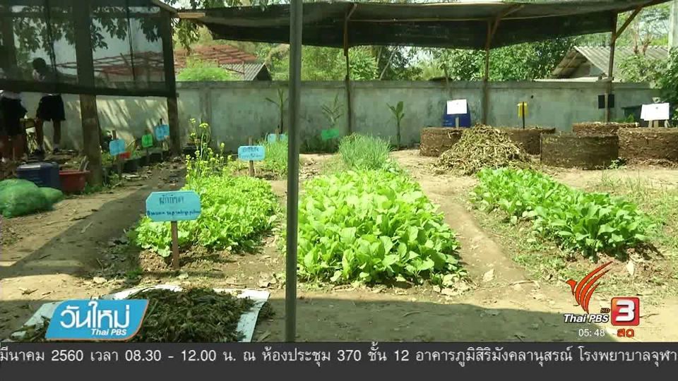 เก็บผักตบชวาทำปุ๋ยหมักฟื้นฟูคลองแม่ข่า